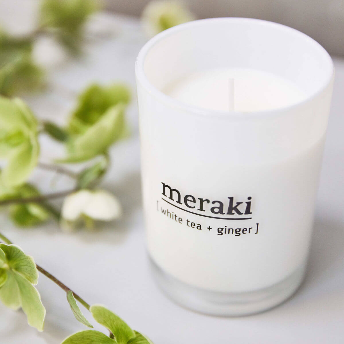 Kerti White tea + Ginger - Stórt