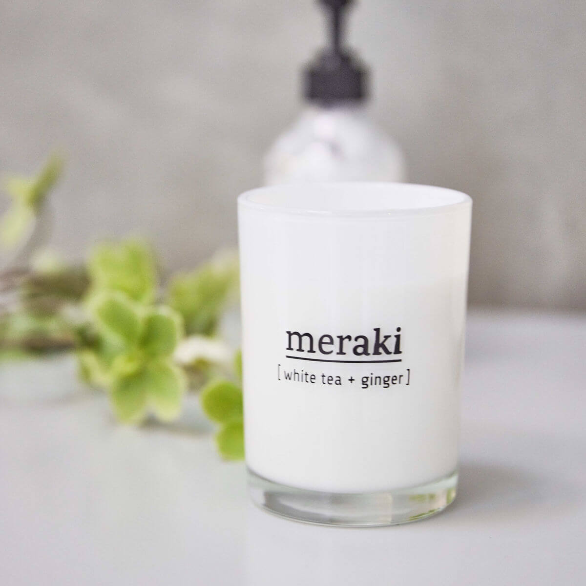 Kerti White tea + Ginger - Stórt