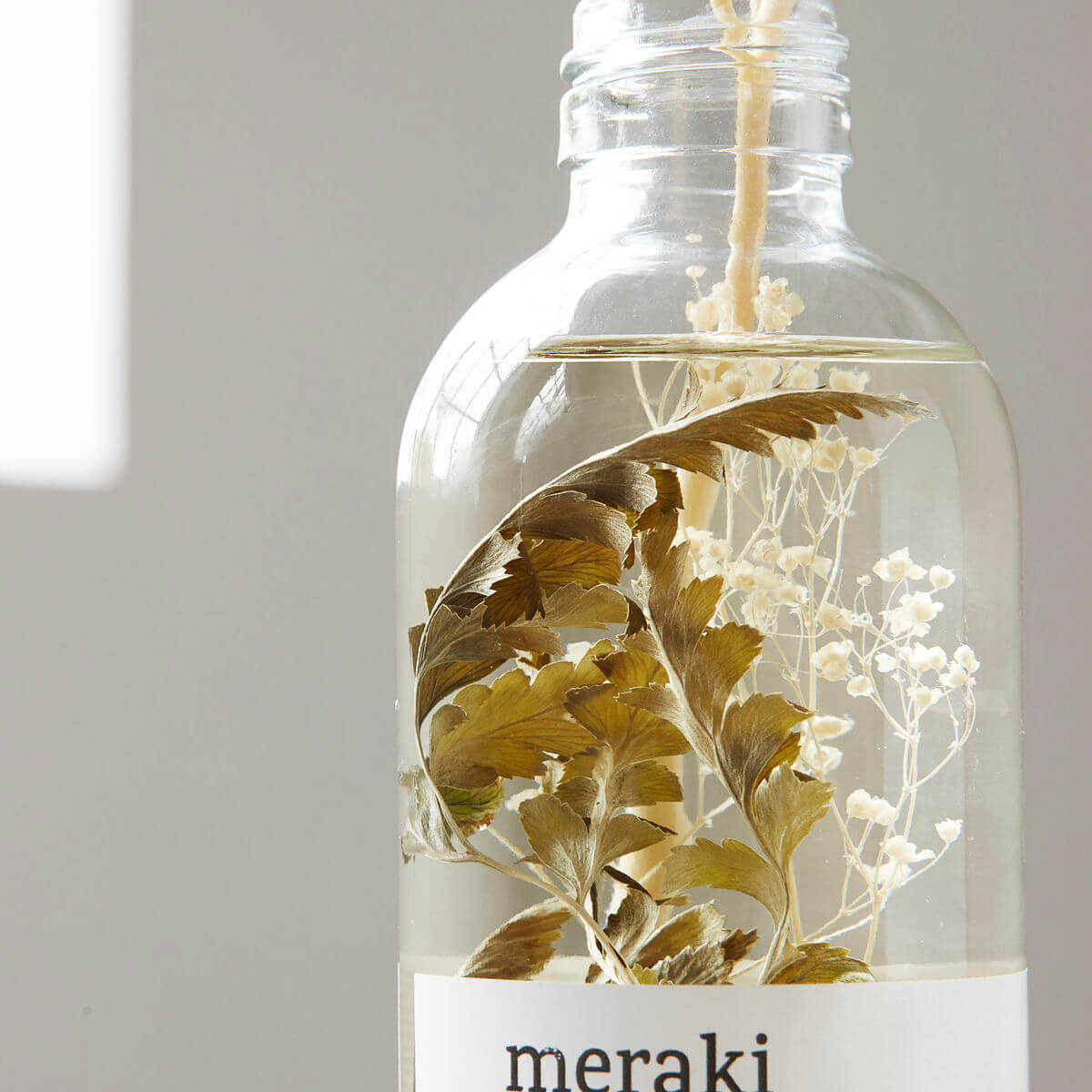 Ilmstangir Verbena Drizzle